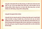 TỔNG BÍ THƯ, CHỦ TỊCH NƯỚC TÔ LÂM NÊU MỘT SỐ DẠNG THỨC CỦA LÃNG PHÍ ĐANG NỔI LÊN GAY GẮT HIỆN NAY