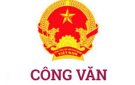 Quy chế tiếp cận thông tin