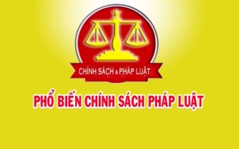 Mức xử phạt vi phạm hành chính đối với một số vi phạm